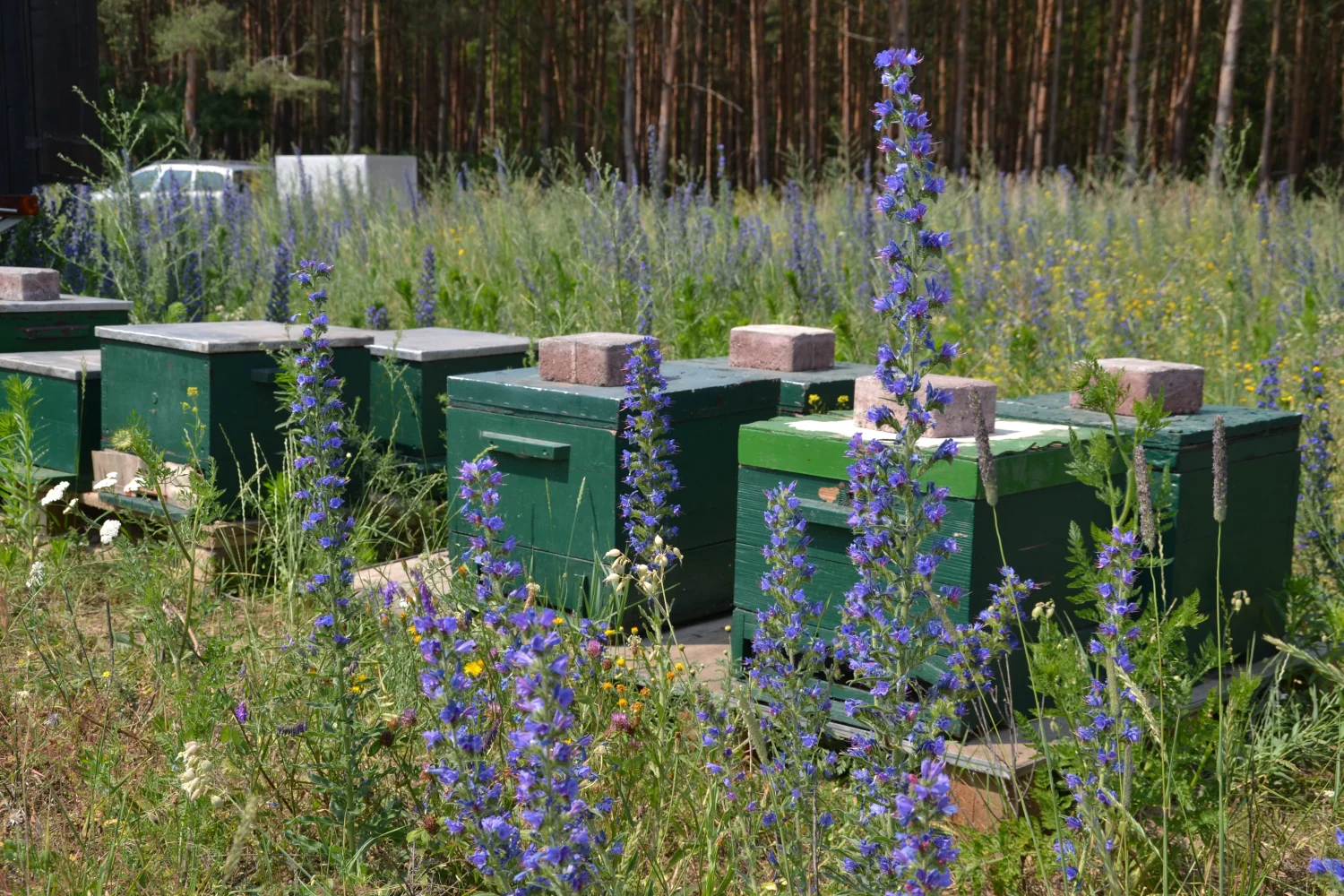 Land ist Gut, Container für Honigbienenfarmen