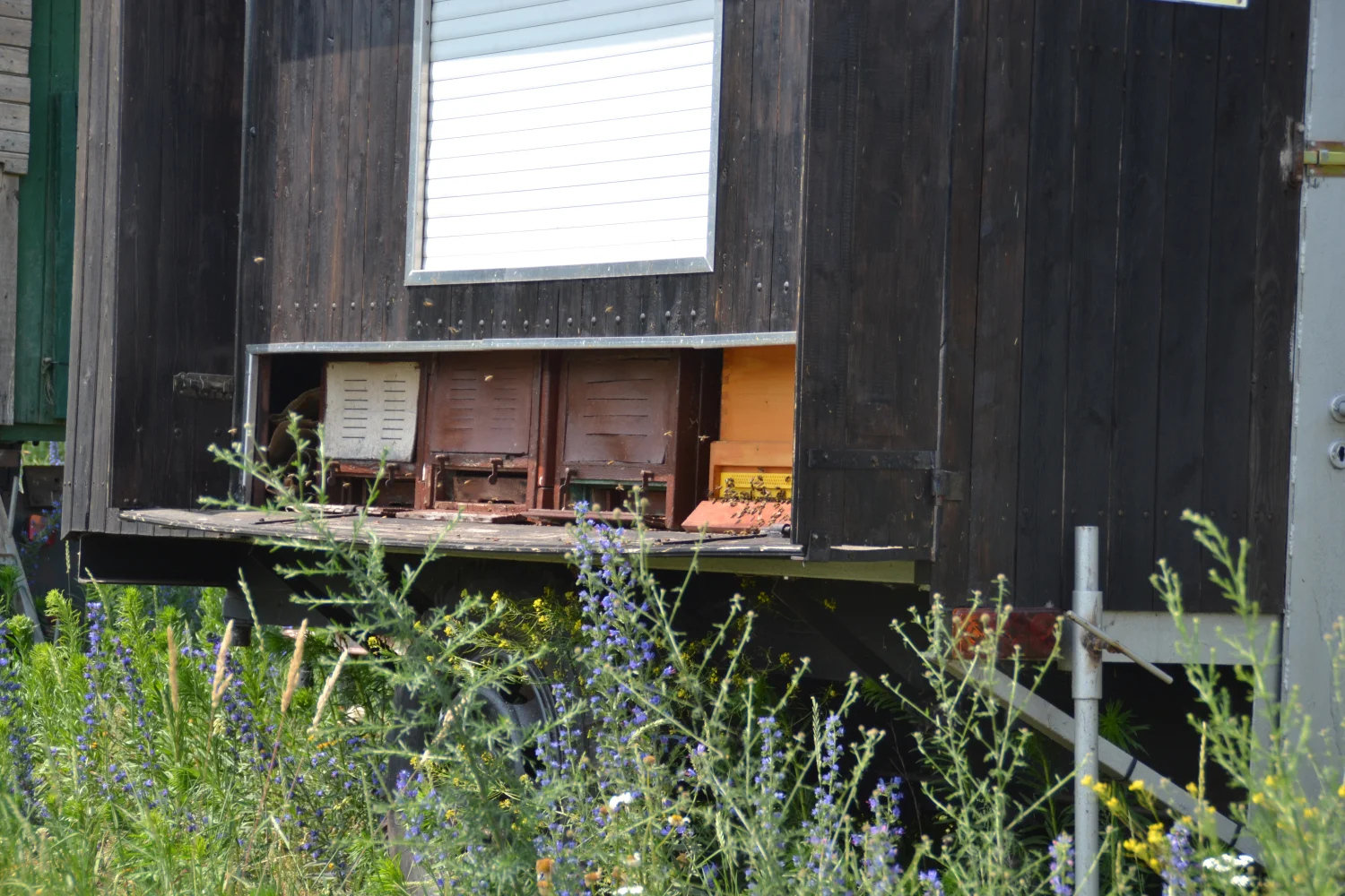 Land ist Gut, Container für Honigbienenfarmen