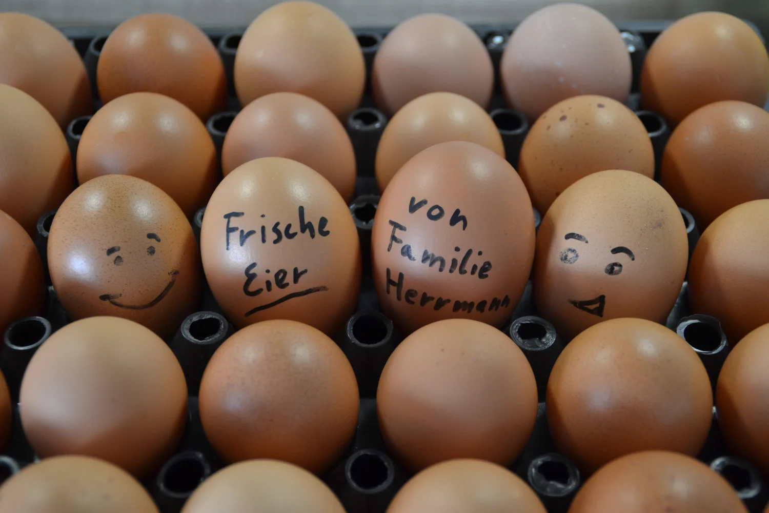 Land ist Gut, Eier