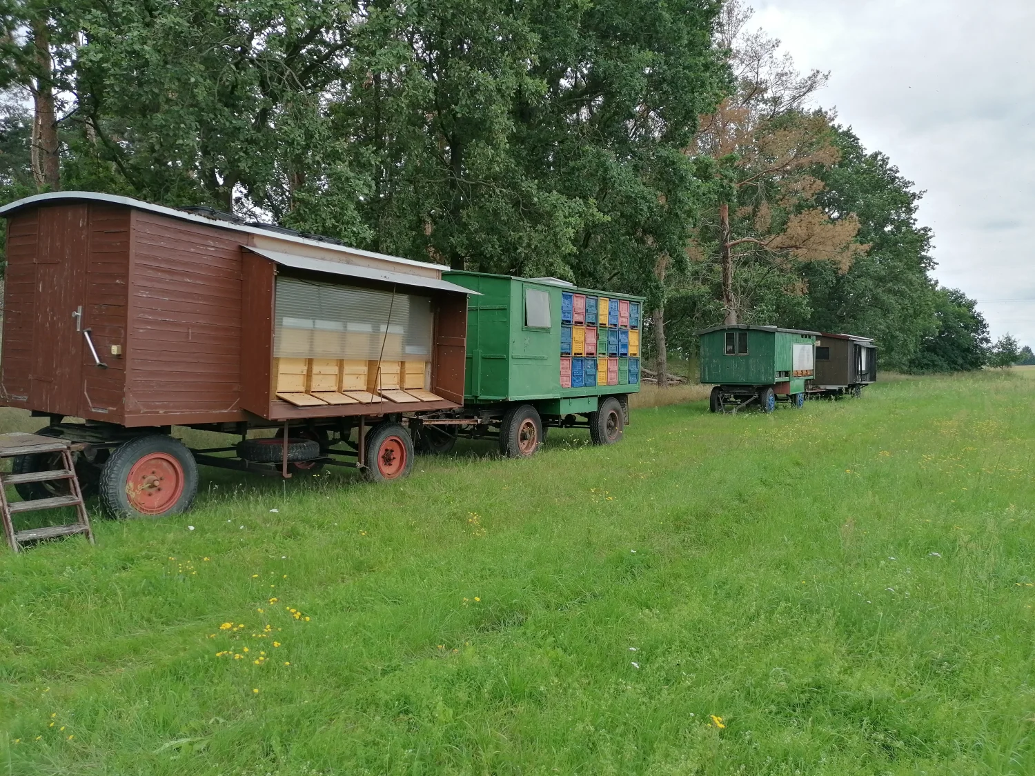 Land ist Gut, Container für Honigbienenfarmen